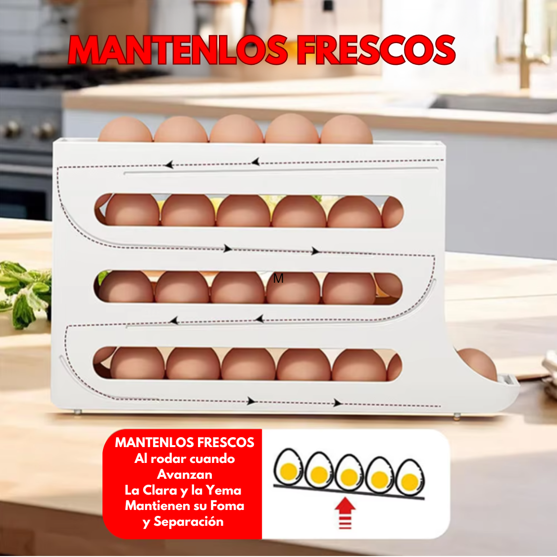 Organizador de Huevos