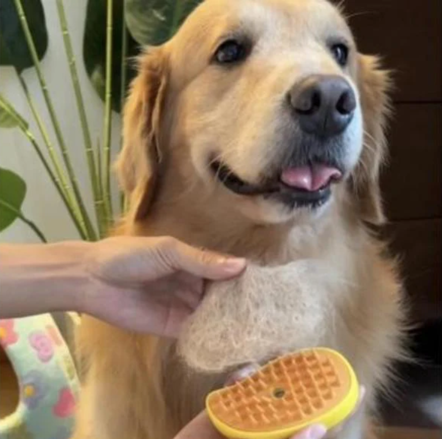 Cepillo Vapor Multifuncional de Mascota