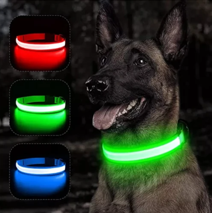 Collar con Luz LED