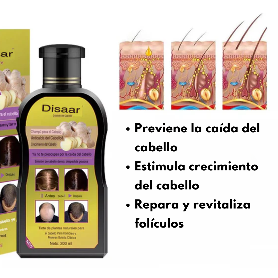 Disaar Anticaída – Recupera tu cabello y frena la caída en 2 semanas