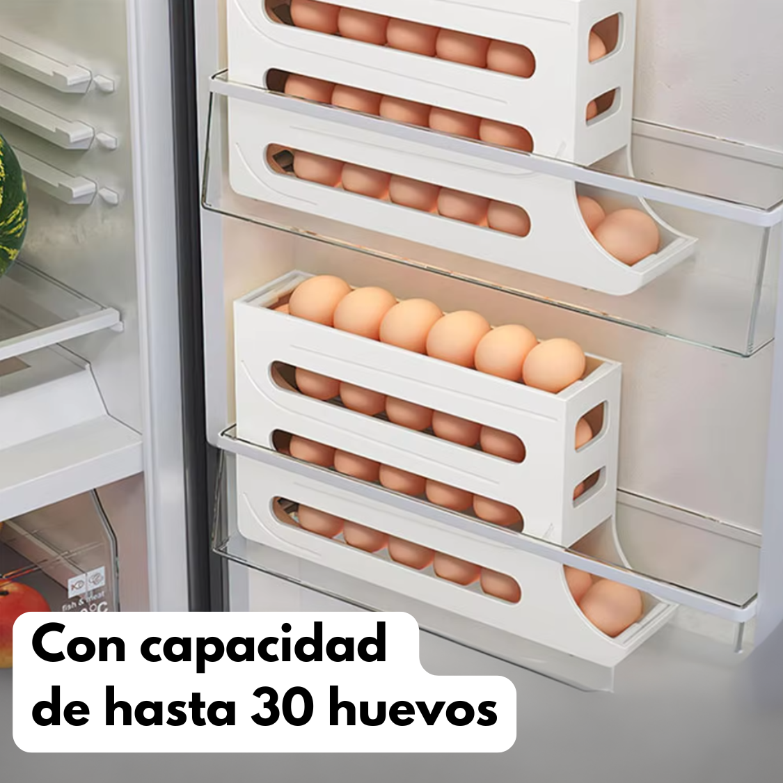 Organizador de Huevos